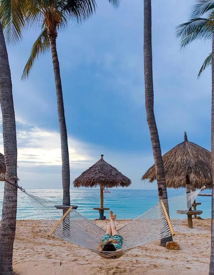 Divi Aruba Phoenix Beach Resort Palm Beach Aruba