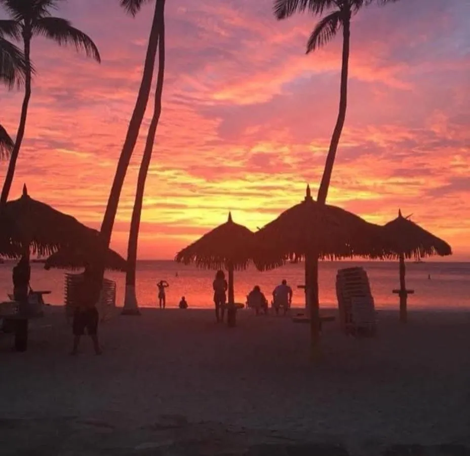 Divi Aruba Phoenix Beach Resort Palm Beach