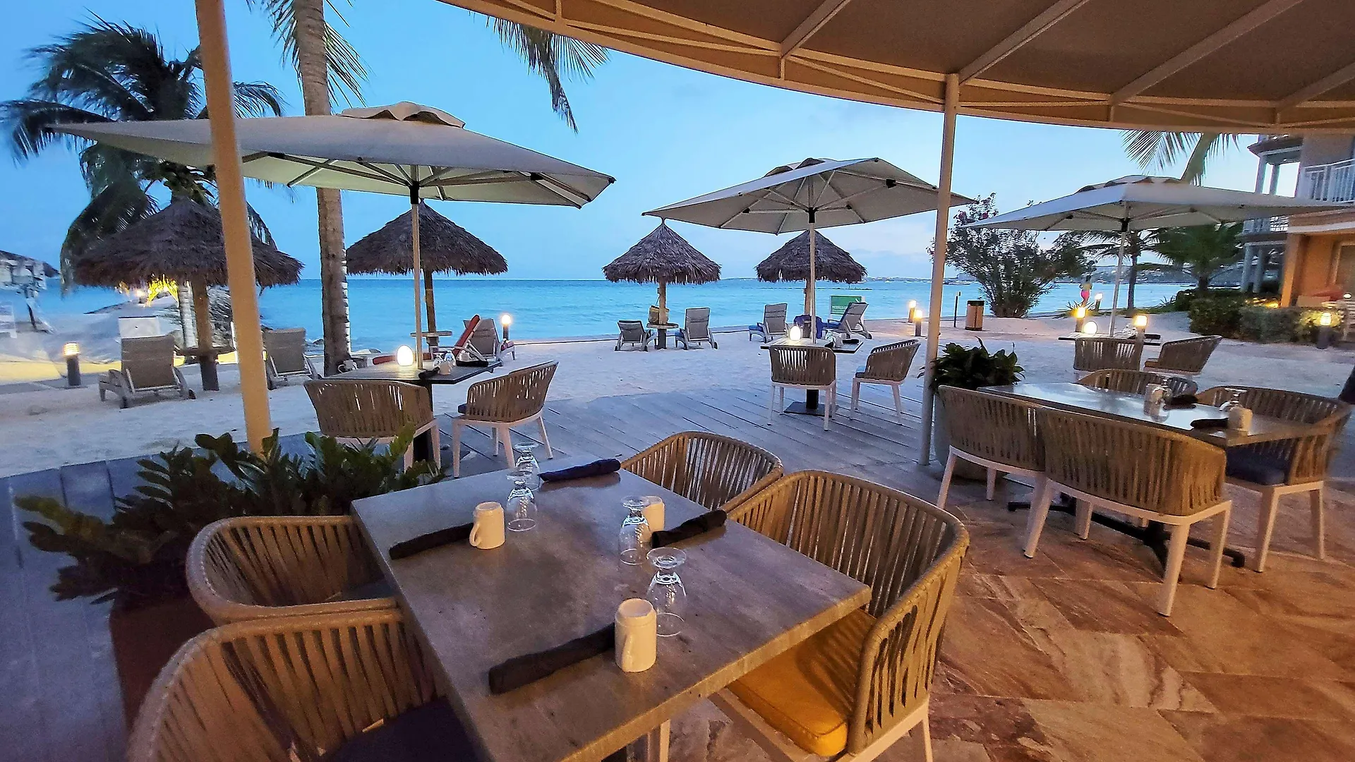 Divi Aruba Phoenix Beach Resort Palm Beach