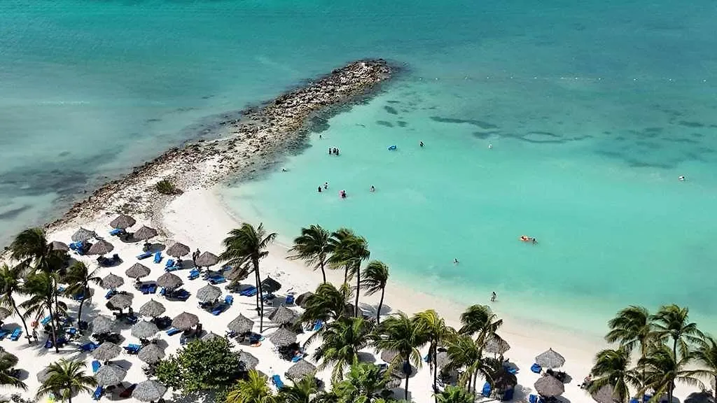 Divi Aruba Phoenix Beach Resort Palm Beach