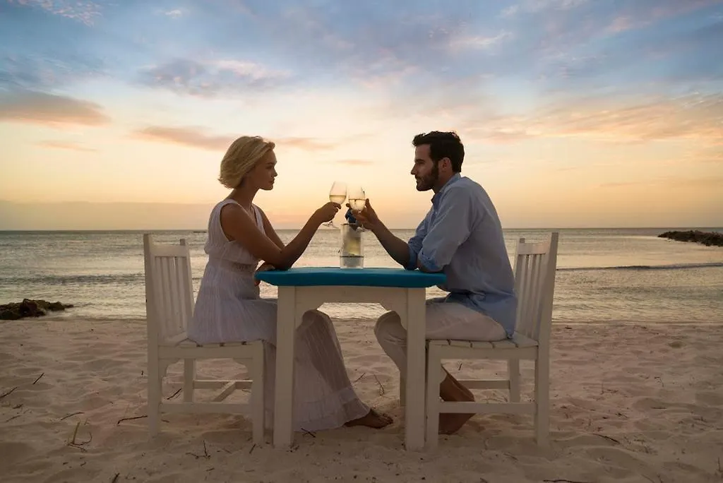 ****  Divi Aruba Phoenix Beach Resort Palm Beach Aruba