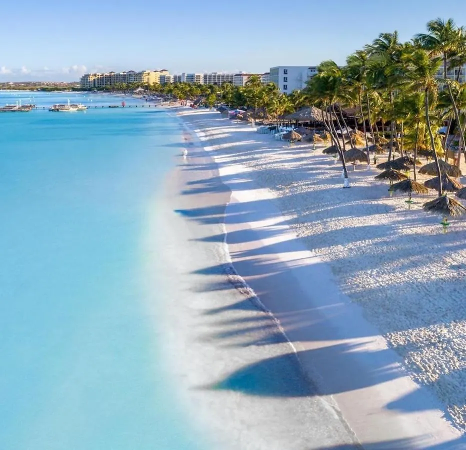 Divi Aruba Phoenix Beach Resort Παλμ Μπιτς